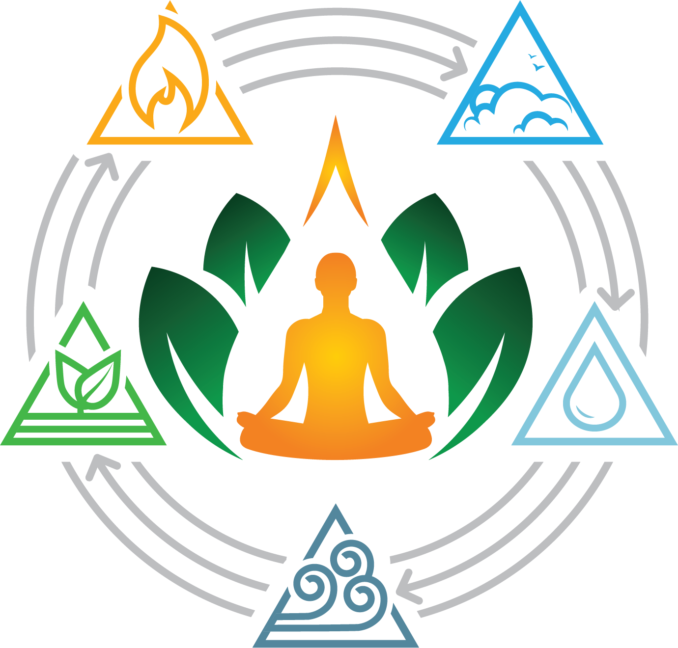 Ayush College of Naturopathy, Yogic Sciences & Research Centre